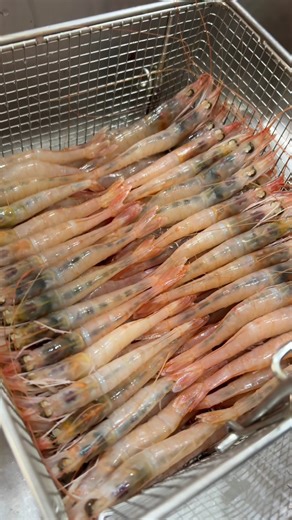 Gamba Blanca de Huelva: Cocción Perfecta