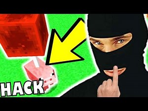 CET ABONNÉ A PIRATÉ LE CODE DE L'EDITION SECRETE DE MINECRAFT !!