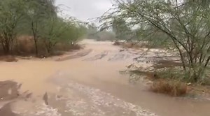 15K views · 187 reactions | Watch: Dubai creates Fake Rain to deal...