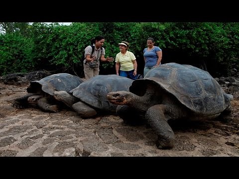 10 Returning Extinct Animals That Are Still Alive