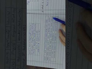 Fragmentation numerical question solved .