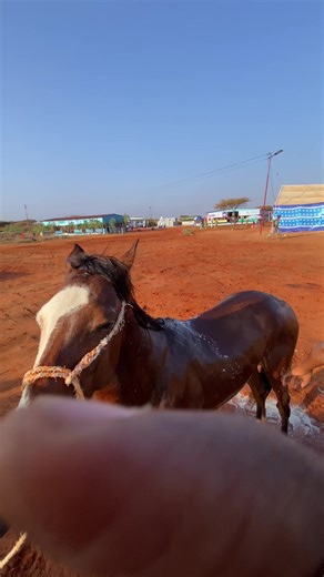 فيديوهات أنشأها fardo_awliyo0 (@fardo_awliyo0) باستخدام original sound - MAGIC HD