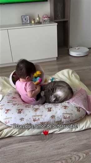 top top vidéo de chat