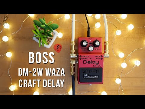 Boss DM-2W Waza Craft Analog Delay (Stereo)