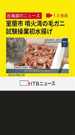 「ちょうどいいのばかり」北海道室蘭市 噴火湾の毛ガニ 試験操業初水揚げ
