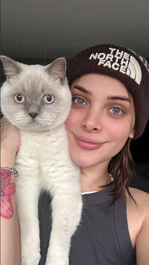 How to say come here in cat language, will my cat understand? #shorts