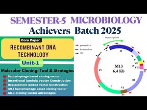 Bacteriophage based cloning vector | Lambda vectors- Insertional & Replacement| M13 based vector |
