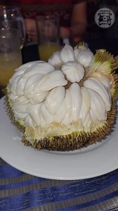 2.9K views · 20 reactions | Alien Fruit is the Sweetest! Marang Fruit...
