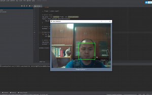 基于Python使用PySimpleGUI进行人脸检测