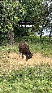 12K views · 6K reactions | Have you been to this spot in Kentucky...