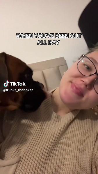 Non-Stop Boxer Dog Kisses That Will Melt Your Heart