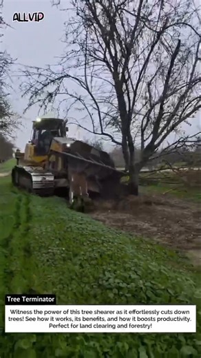 Tree Terminator: Watch This Machine Obliterate Trees!