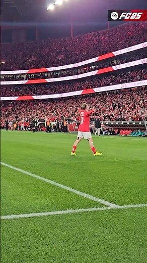 ⚽ Aktürkoğlu (1-0)! • #slbrafc #ligaportugalbetclic #golo #goal #benfica #slbenfica