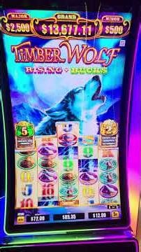 Double Pop on Timber Wolf #slot #gamble #casino #slotmachine