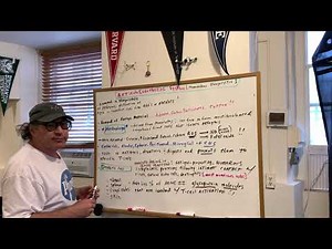 Reticuloendothelial System Explained | DAT and OAT Biology | DAT Destroyer