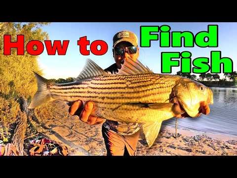 2026 Sacramento River Striper Fishing and Fishing Rig