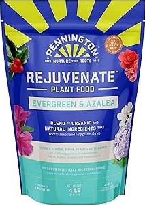 Pennington Rejuvenate Evergreen & Azalea 4 Pounds