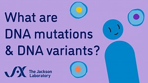 Minute to Understanding: What are DNA variants?