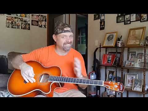 Review of the Washburn Festival series Acoustic Electric Guitar