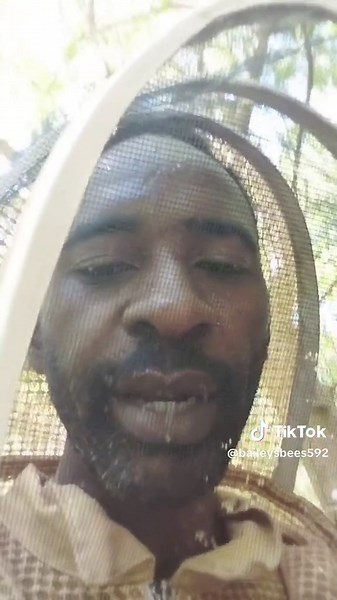 Kudos to the team from NCN who came to do a feature on bees today and overcame a fear of bees in the process. We did an apiary tour, opened one of the hives then visited a wild colony in a tree. @tateannaclarke came with such brilliant questions, this will surely make forna very educational piece with something for everyone wether you are in love with stinging bees or the stingless ones. I don't think these bees like cameras much but the videographer kept his cool. 😅 #guyanesetiktok #ncn #featu