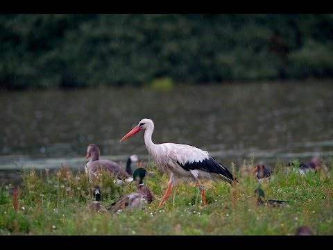 Le meilleur de la nature dans les Hauts-de-France