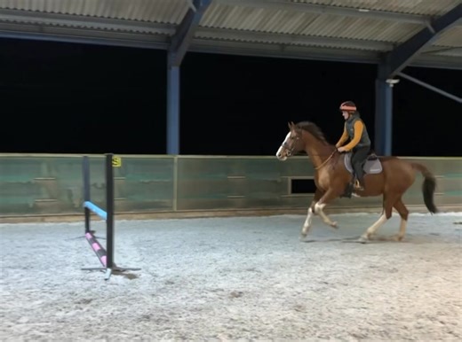 Now the surface is settling in I gave Kenny a wee jump last night. Just small jumps but it was lovely to leave the ground 🥰 Kenny was very chilled. Now his canter work will increase to keep his fitness building, first event for us will be early April 😊 | Orange Fox Eventing