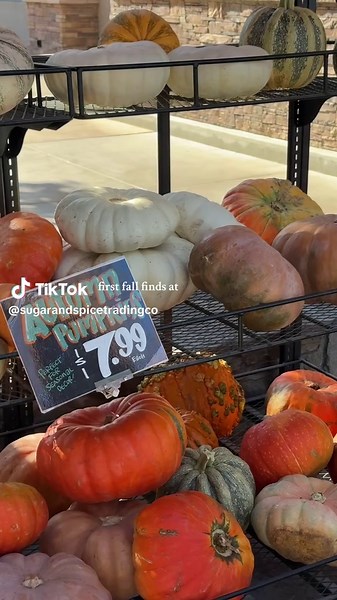 Discover the Best Fall Finds at Trader Joe’s