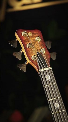 Warwick Limited Edition 2025 Masterbuilt - 5 String Version