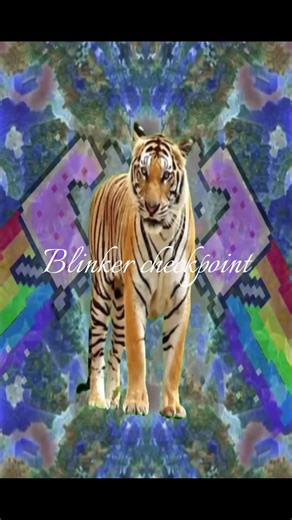 Exploring the Aesthetic of Blinker Checkpoints