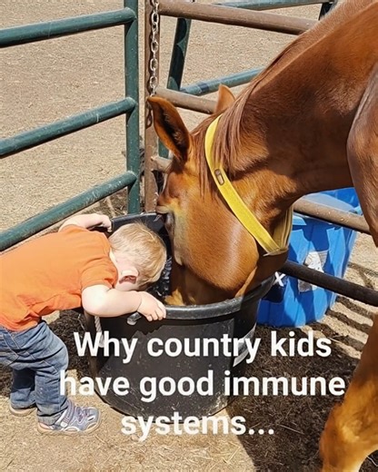 😂🐴 Country Living at its Finest 🐴😂 Why do country kids have the best immune systems? 👉 Because sharing is caring… even with the horses! 🥤 Nothing like a little farm life to build character (and maybe some antibodies too). 😉 #CountryLife #FarmKids #ImmuneSystemStrong #HorseLife #FarmHumor #fblifestyle | Stable Express