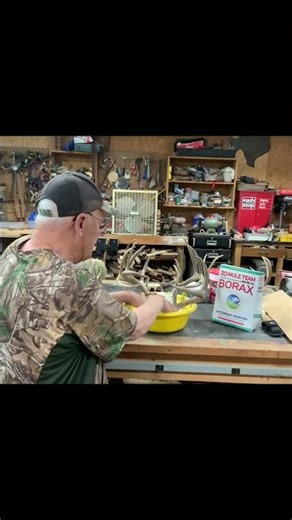 Secret to Cleaning Deer Antlers! #Shorts