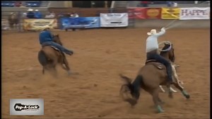 6.8K views · 198 reactions | Erich Rogers and Paden Bray picked up a big win in Amarillo this season, cashing in with a 3.8-second run. | PRCA ProRodeo | Facebook