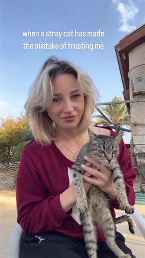 Natalia Fadeev (@fadeev2031)’s videos with original sound - Natalia Fadeev
