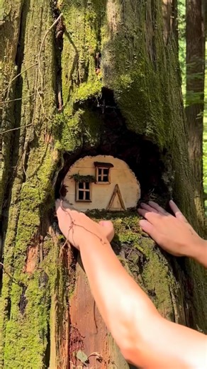 Art Daily Dose on Instagram: "Mary in the Fairyland is a whimsical artist and craftsperson who builds fairy houses in the woods, blending natural and recycled materials into tiny dwellings that feel as though they’ve sprouted from the forest floor. 🏡🧚 Each house is crafted from bark, moss, branches, and bits of glass or clay, carefully arranged to look alive—like nature itself built them. His creations often glow softly at night, with small windows and lights revealing the magic hidden in ordi