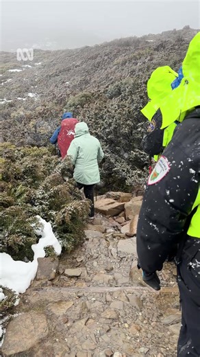 A couple from Queensland is safe and recovering after being rescued from the Overland Track at the Cradle Mountain and Lake St Clair National Park in Tasmania's north. The pair activated their emergency beacon on Wednesday night, triggering an aerial rescue that was ultimately hampered by poor weather. A ground search and rescue crew met up with the bushwalkers on Thursday and walked them out of the park at about midday. Choose your news on the ABC NEWS app and stay in the know: https://ab.co/ab