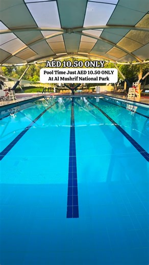 Pool time at📍Dubai Al Mushrif National Park Just AED 10.50 Only @littlechampsswimmingacademy •Temprature Controlled Pools •Swimming coaching and aqua aerobics classes available •Shower and locker facilities •Ample Parking Space Available •Seprate pools for males females and kids Timings : 9am -9pm Open 7 days a week #pool #almushrifpark #swimmingpool #foryoupage #summervibes☀️ #trending #uae #uaebloggers #foodventurres | Foodventurres