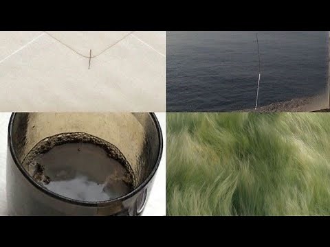 ‎𓏶 ‎ ‎ ‎ ‎ ‎⠀⠀ Feelin ⠀⠀⠀Loose' ⠀⠀⠀ 🍈ㅤ⠀ ꫶⠀ ꒰͜͡ ྀ ͜͡꒱