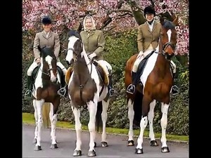 Queen Elizabeth and Horses