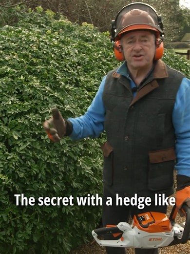 The Secret to Perfect Hedge Trimming 🌿 The secret to trimming hedges beautifully is all about smoothness of stroke. 🌳 In this gardening tutorial, you’ll learn why sweeping motions create a cleaner finish and why stabbing at the hedge ruins the shape. Discover proper hedge trimming technique, how to work from the bottom up or top down, and how to refine your landscaping with controlled, even cuts.✂️ Save this for later!👨‍🌾 #gardeningwithalantitchmarsh #gardeningtips