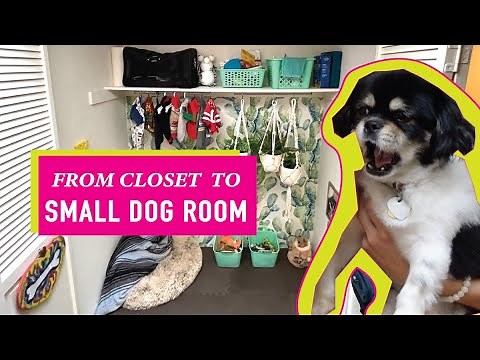 DIY dog closet makeover with $1.50 foam flooring tiles