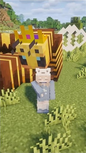 Mod: The Bumblezone 🐝 #minecraft #minecraftshorts