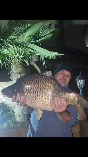 Mihai Turcea on Reels