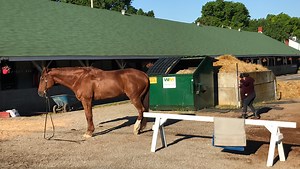 Here's the poop on Churchill Downs horse waste | Joseph Gerth