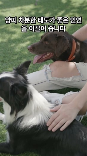 오늘의 운세 25 09 28