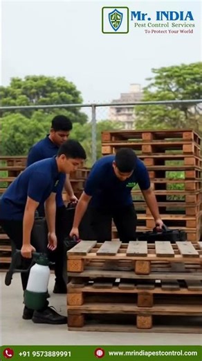 Termites in we houses and storage areas can silently destroy wooden pallets, boxes,