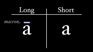 拉丁语学习视屏教程（第二课）