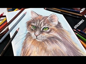 20+ Watercolor Pencil Hacks! // How to Paint a Long Haired Cat Real-Time Tutorial