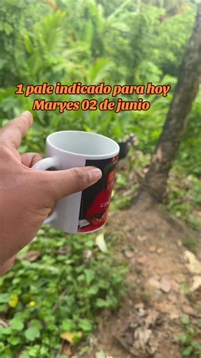 Numerología hoy 2 de junio: mensaje para Maryes