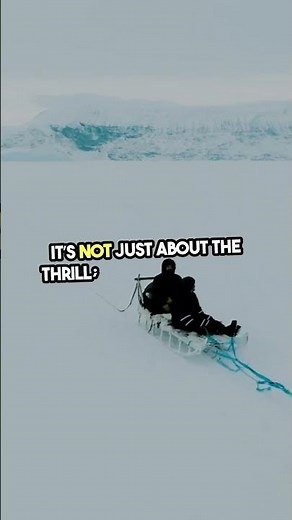 Epic Dog Sledding Adventure in Alaska!