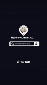 19K views · 1.5K reactions | #OurApplesauce #dogfightingsurvivor #enddogfighting #lifeafterdogfighting | Handsome Dan's Rescue for Pit Bull Type Dogs | Facebook